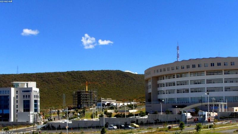 91浏览器移动端极速浏览界面展示